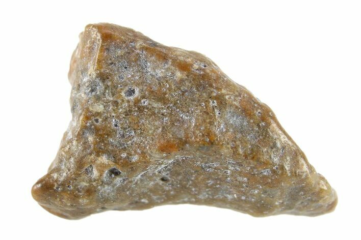 Lunar Meteorite ( g) - NWA #267805